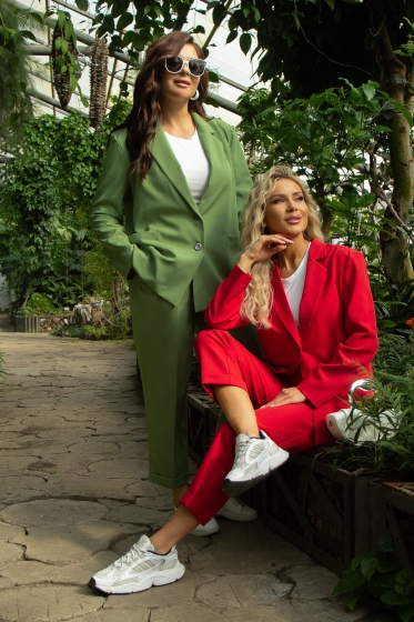 Пиджак Нэри (красный) Б13513-33М